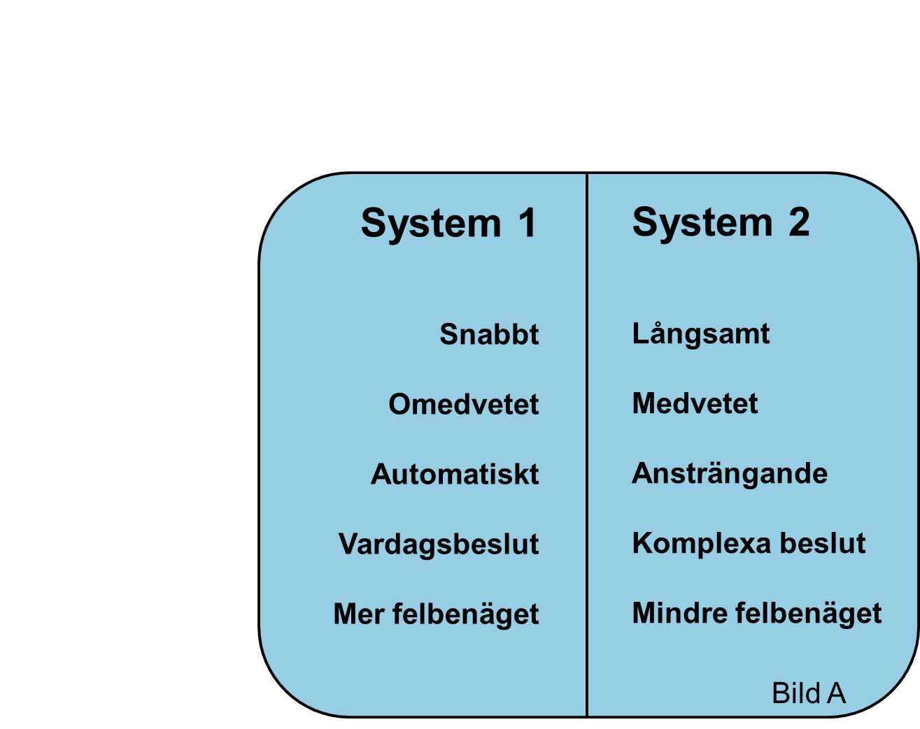 Bild5